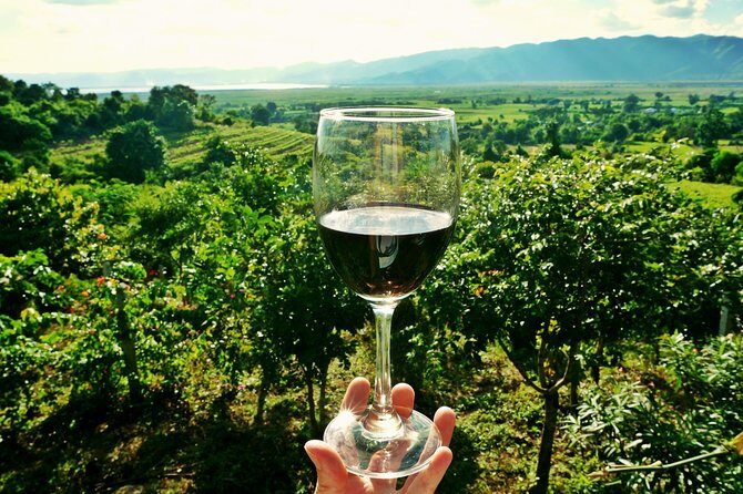 Private Half Day Wine Tasting tour: Road Of The Doges - Key highlights worth planning for