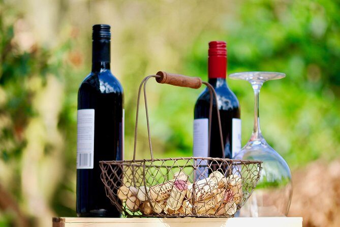Private Half Day Wine Tasting tour: Road Of The Doges - Venice to the Veneto hills: what the ride is really like