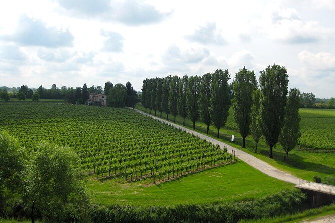 Private Half Day Wine Tasting tour: Road Of The Doges - Veneto’s winemaking story in four hours