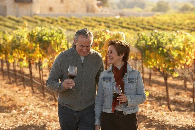 Private Half Day Wine Tasting tour: Road Of The Doges - Price and logistics: is it worth paying for private time?