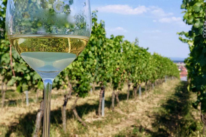 Private Half Day Wine Tasting tour: Road Of The Doges - Who should book this Veneto wine tasting from Venice?